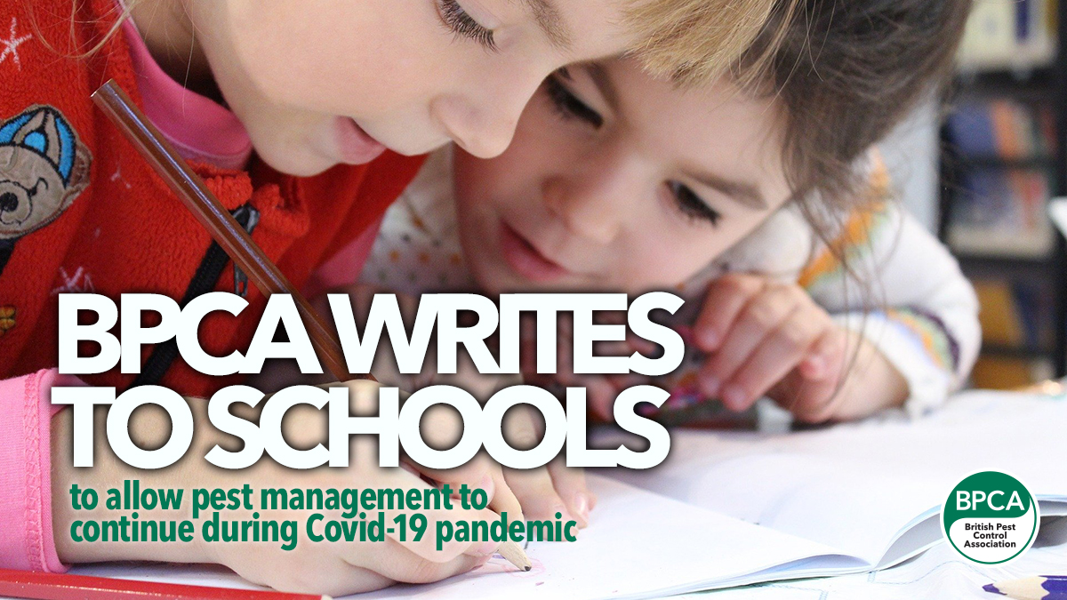 letter to schools pest management key workers covid19 2 letter to schools pest management key workers covid19 2